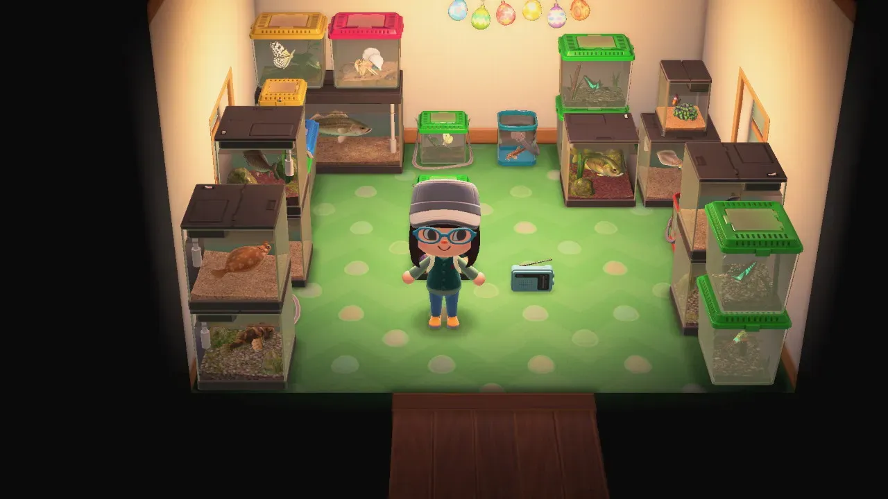 A screenshot of my home in Animal Crossing full of bugs in their cages and no furniture